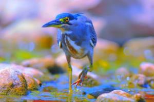 英格兰,一场奢华盛宴,还是实力与运气的完美结合?欧洲杯决赛土豪英格兰