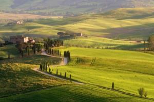 C罗能否带领葡萄牙队夺冠？2022欧洲杯帕耶对阵罗帕耶vsc罗欧洲杯